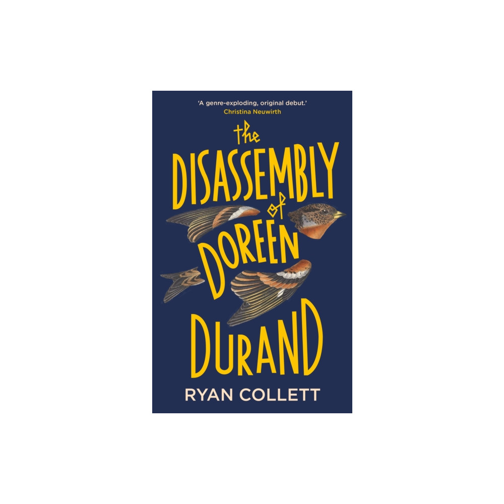 The Disassembly of Doreen Durand (inbunden, english) Sandstone Press Ltd