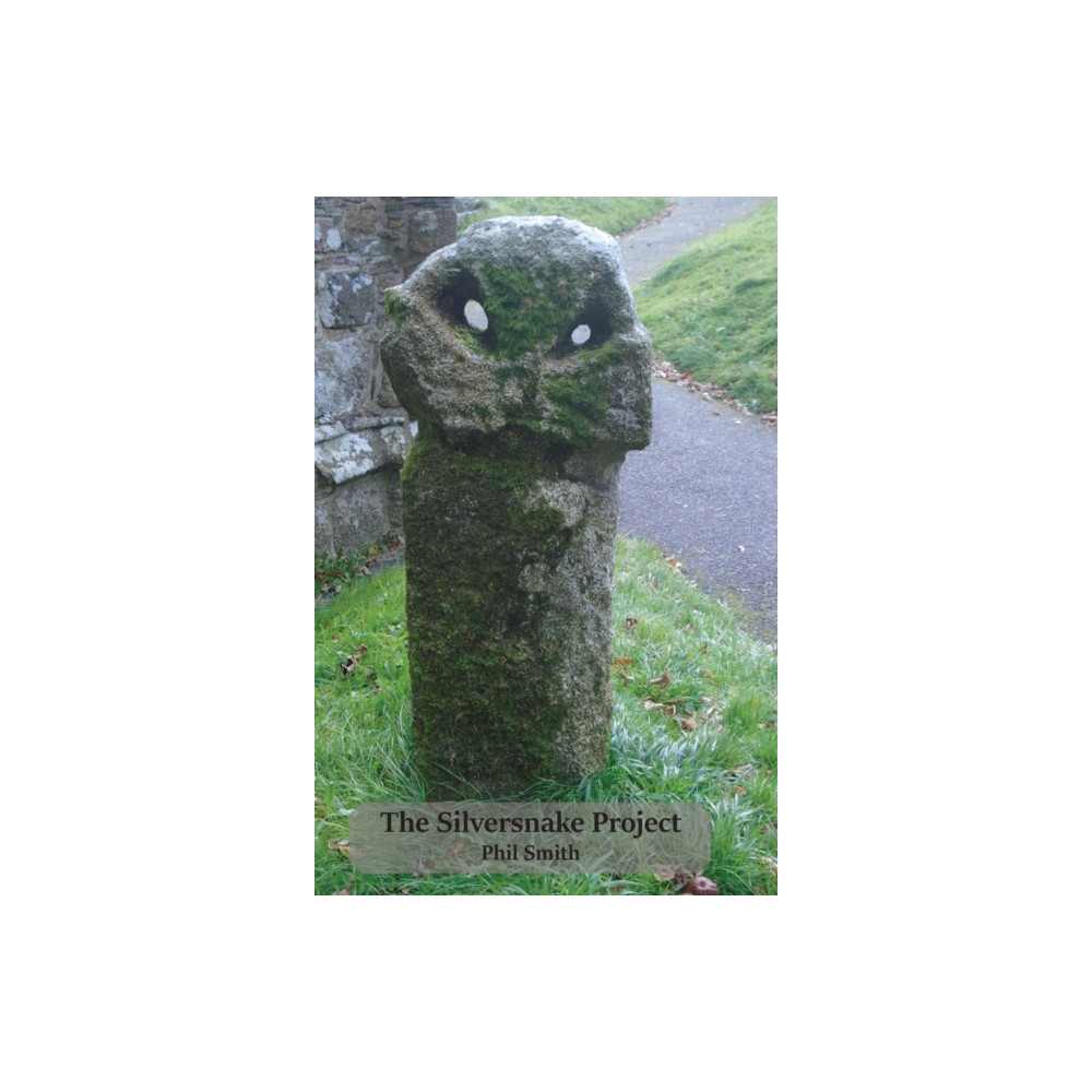 The Silversnake Project (häftad, english) Triarchy Press
