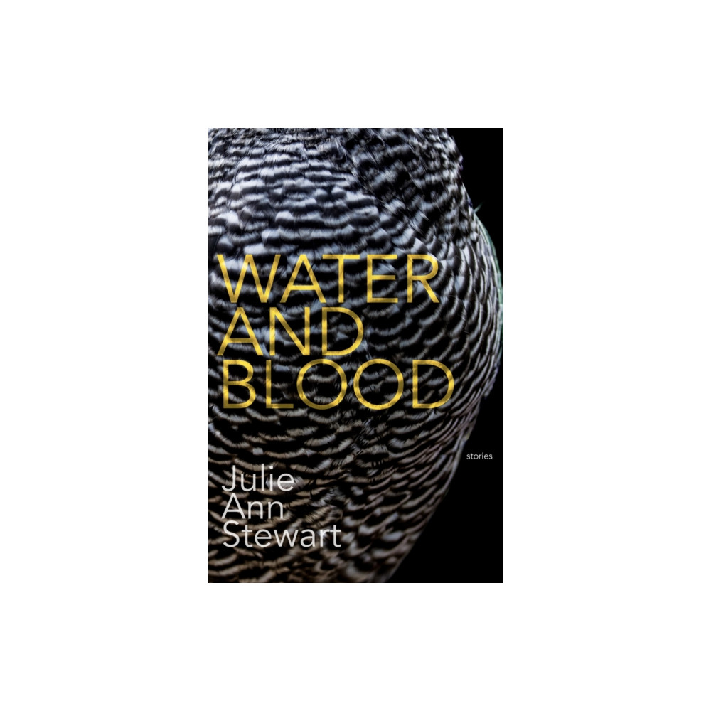 Dzanc Books Water and Blood (häftad, eng)