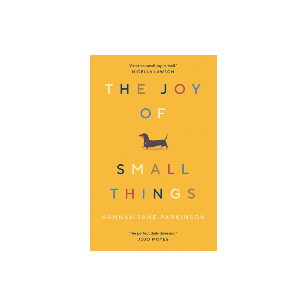 The Joy of Small Things (häftad, english) Guardian Faber Publishing