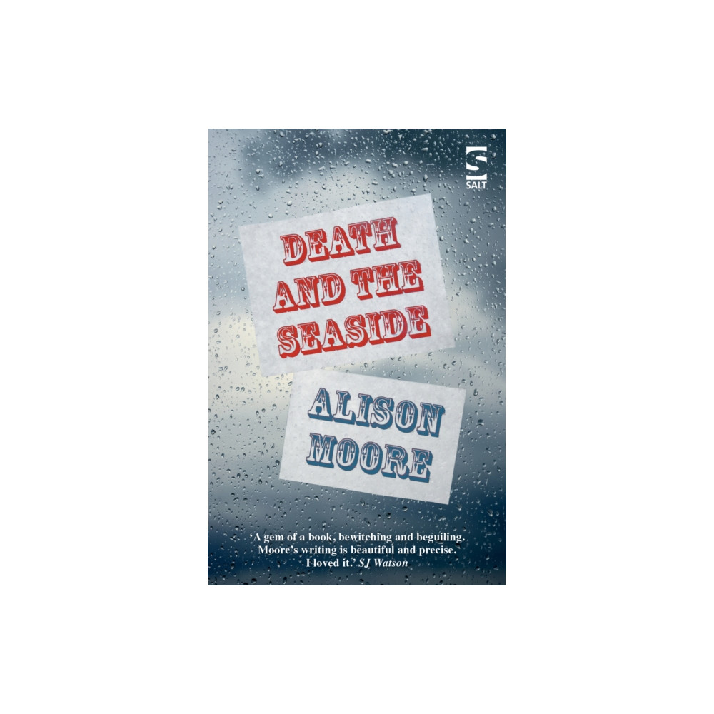 Death and the Seaside (häftad, english) Salt Publishing