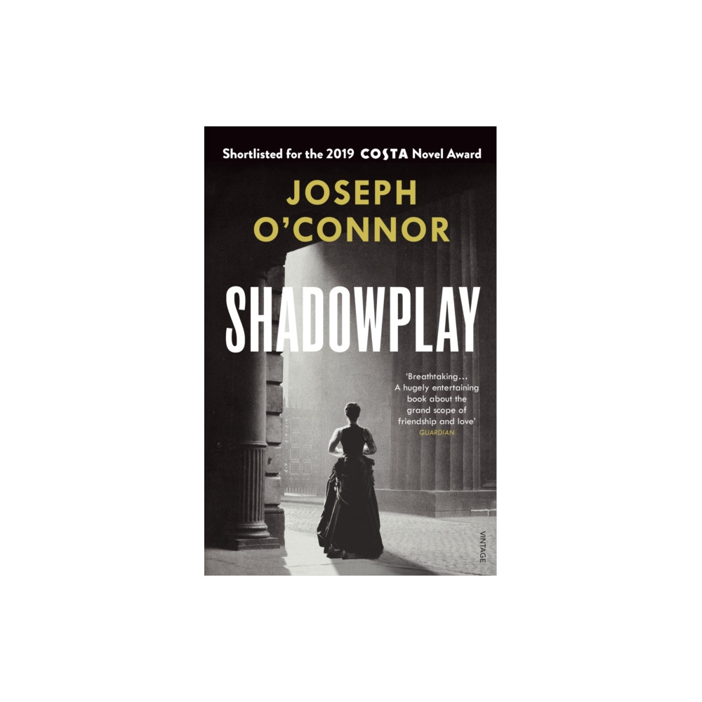 Shadowplay (häftad, english) Vintage Publishing