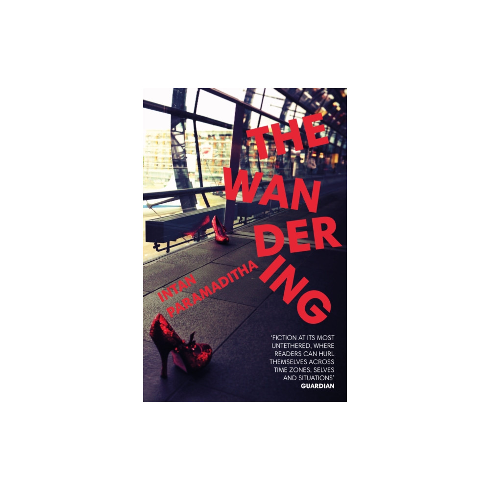 The Wandering (häftad, english) Vintage Publishing