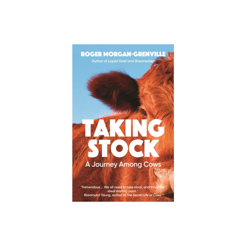 Taking Stock (häftad, english) Icon Books