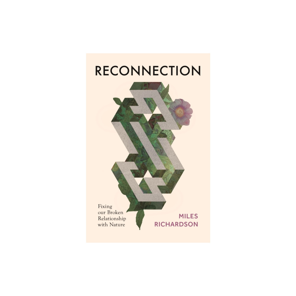 Reconnection (inbunden, eng)