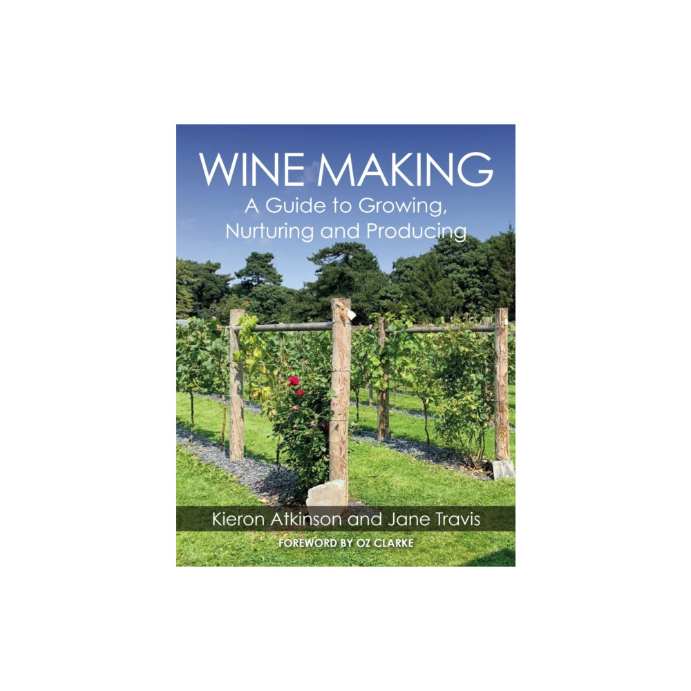 Wine Making (häftad, eng)