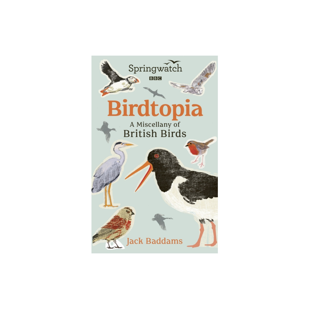 Springwatch: Birdtopia (inbunden, eng)