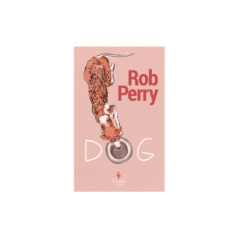 Dog (häftad, english) Europa Editions (UK) Ltd