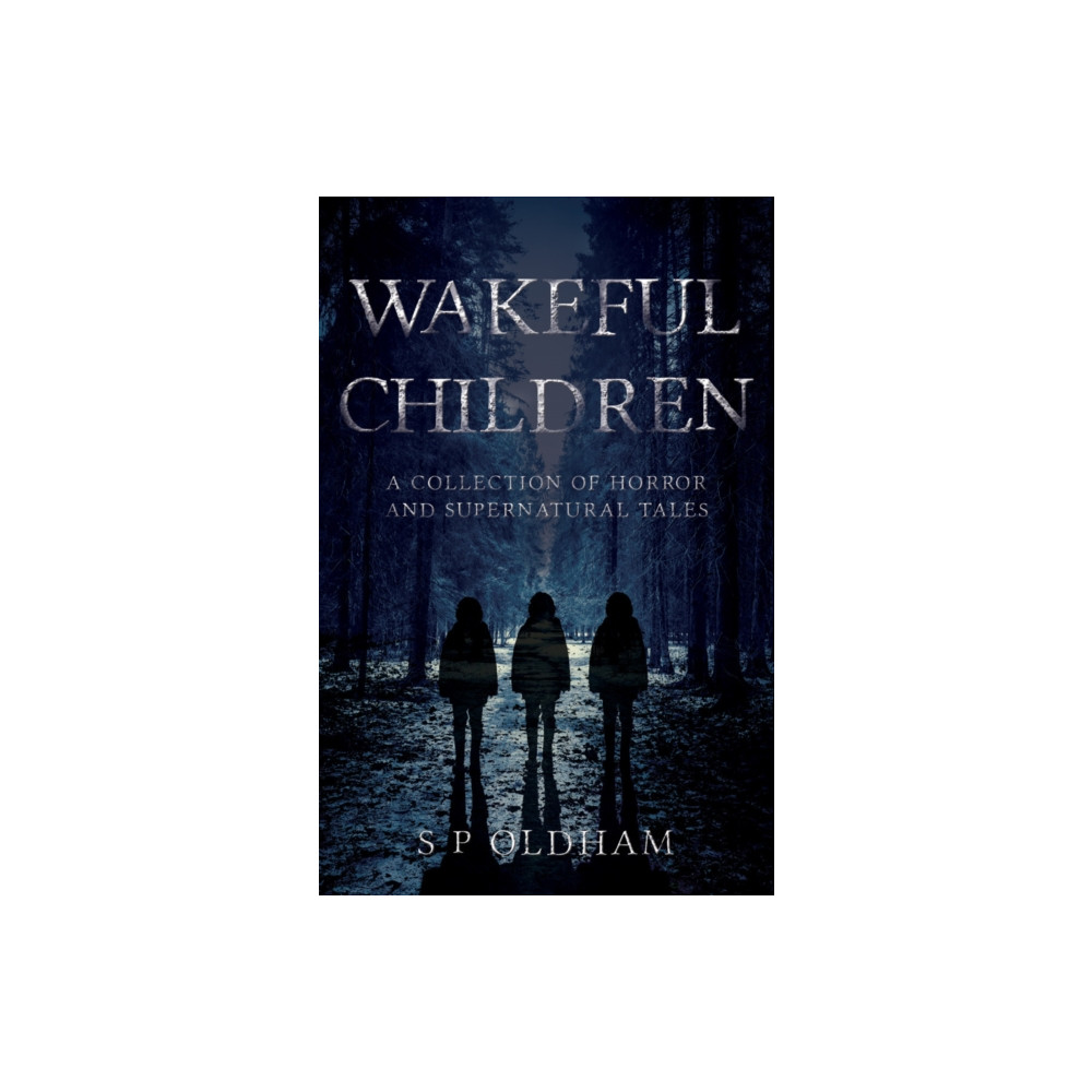 Wakeful Children (häftad, english) Troubador Publishing