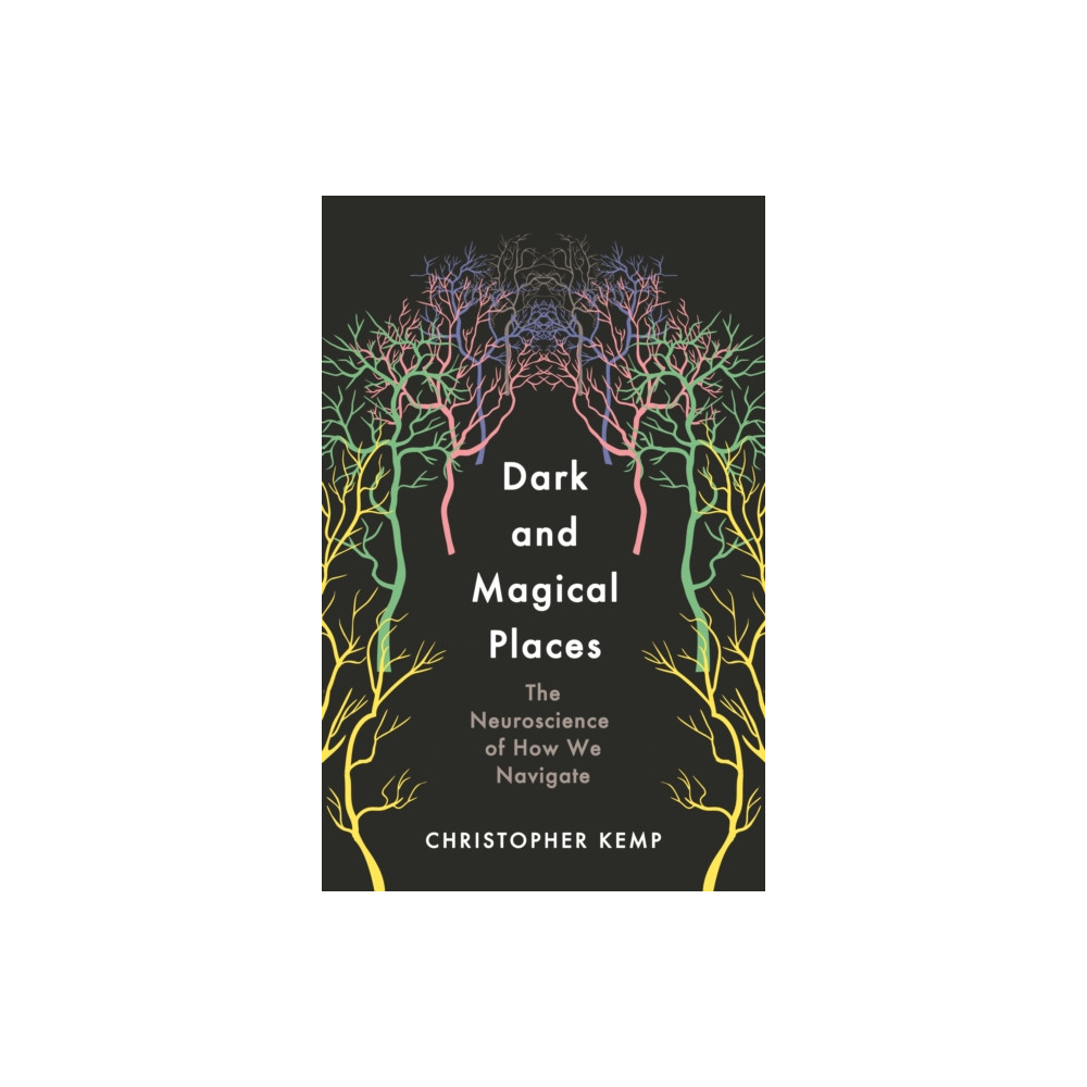 Dark and Magical Places (inbunden, eng)