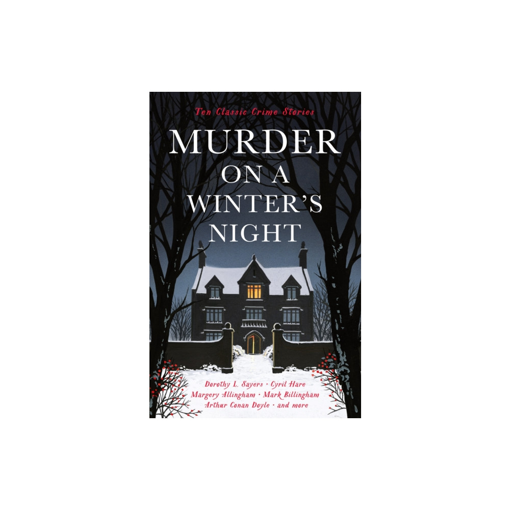 Murder on a Winter's Night (häftad, english) Profile Books Ltd