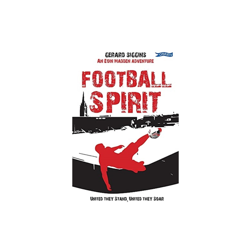 Football Spirit (häftad, english) O'Brien Press Ltd