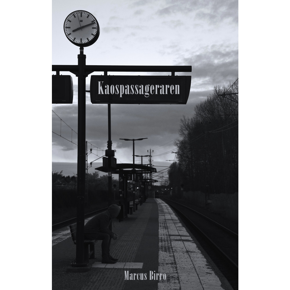 Kaospassageraren (häftad)