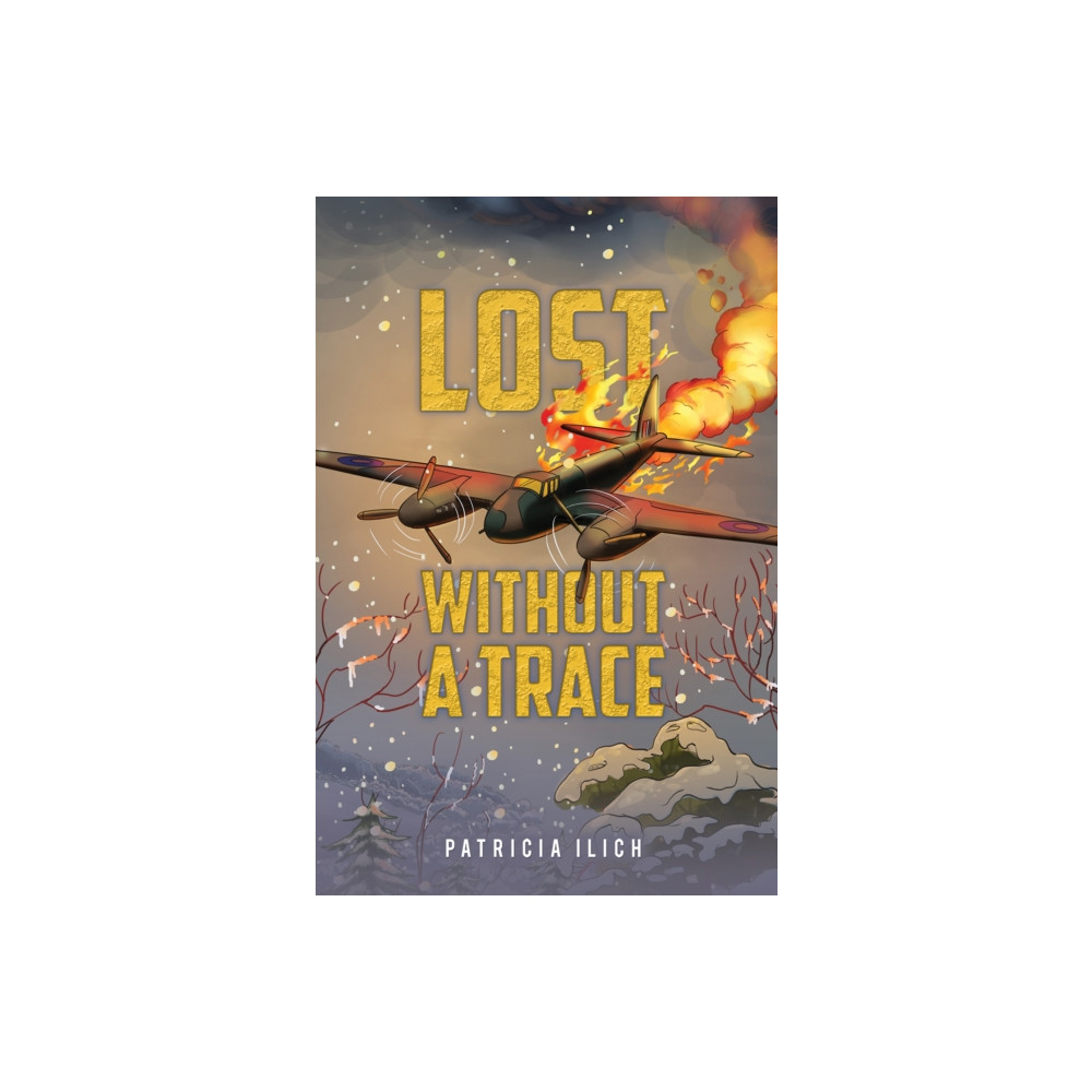 Austin Macauley Publishers Lost Without a Trace (häftad, eng)