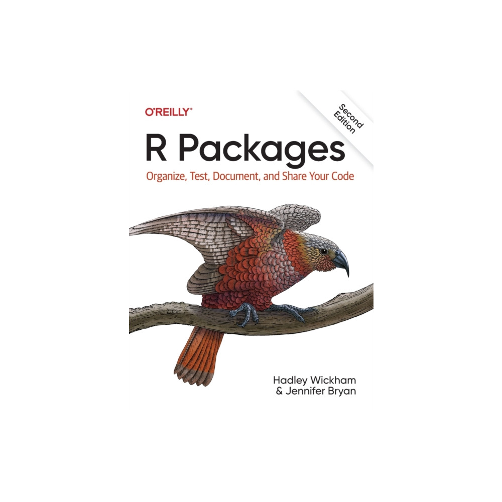 R Packages (häftad, eng)