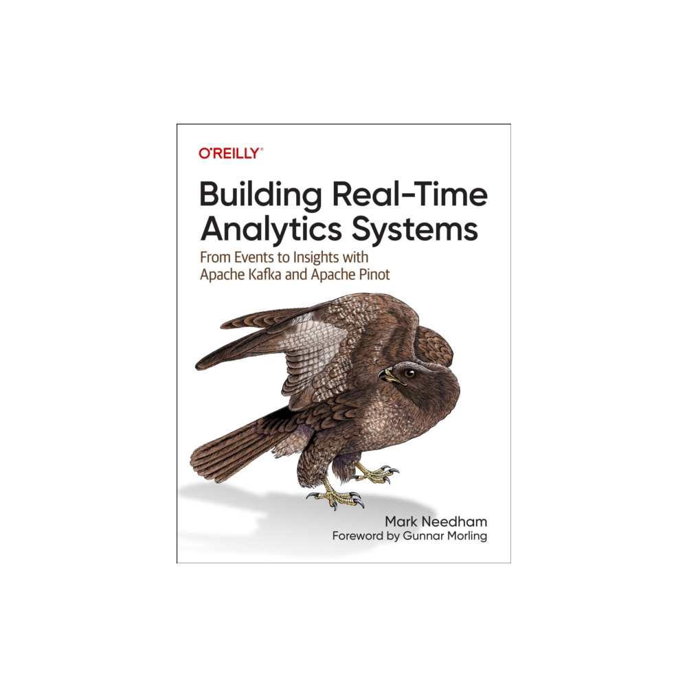 Building Real-Time Analytics Systems (häftad, english) O'Reilly Media