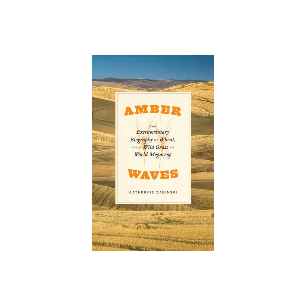 Amber Waves (häftad, eng)