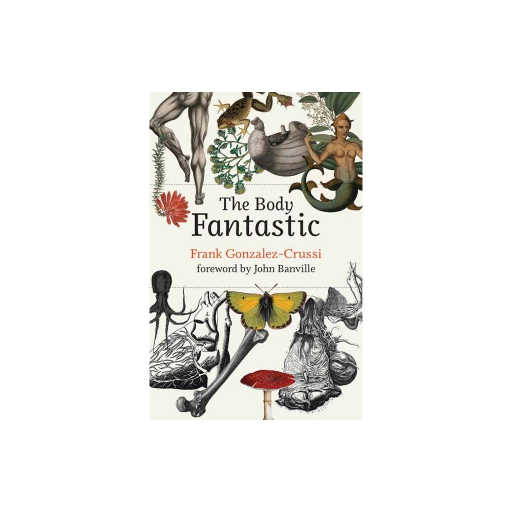 The Body Fantastic (inbunden, english) Mit press ltd