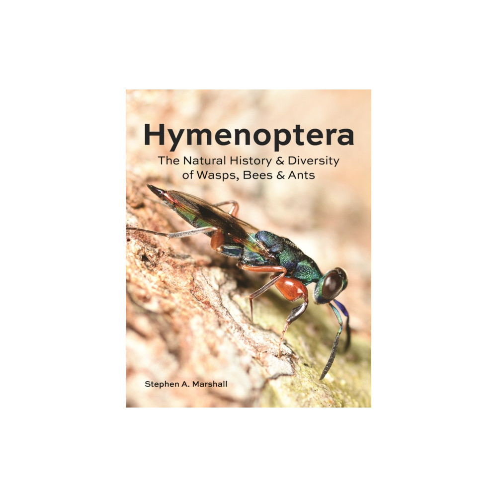 Hymenoptera (inbunden, eng)