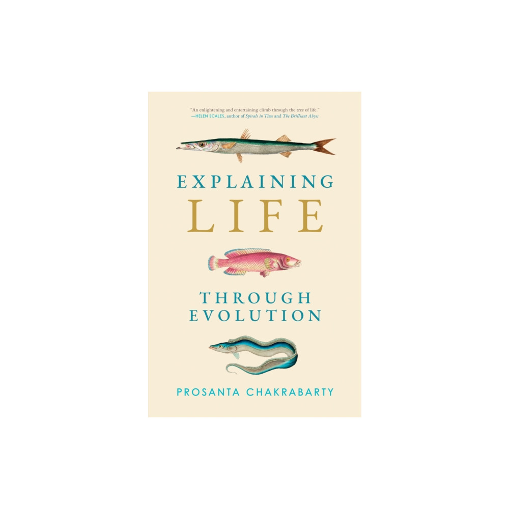 Explaining Life through Evolution (häftad, eng)