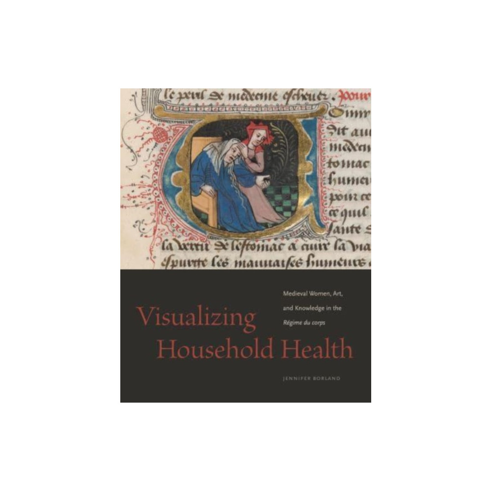 Visualizing Household Health (häftad, eng)