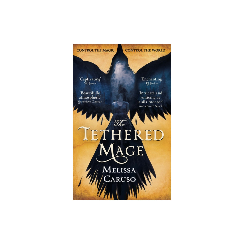 The Tethered Mage (häftad, english) Little, Brown Book Group