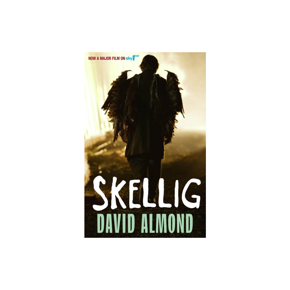 Skellig (häftad, english) Hachette Children's Group