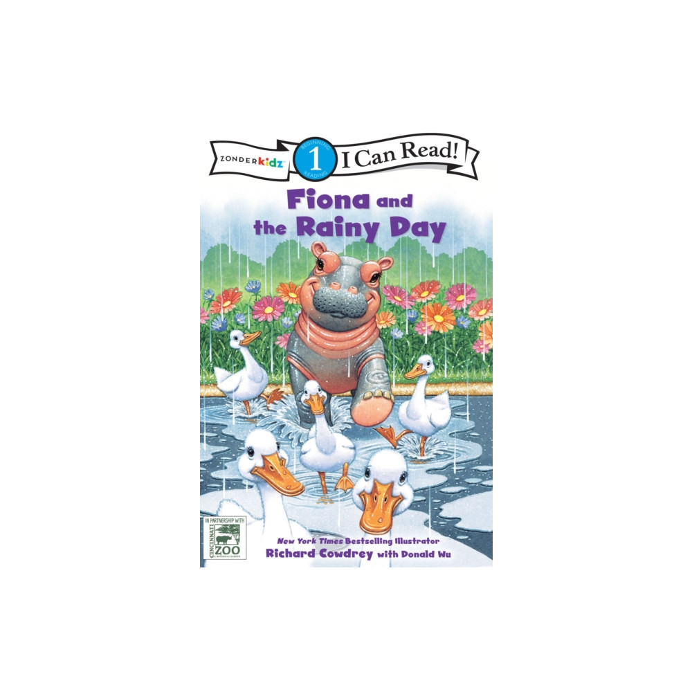 Fiona and the Rainy Day (häftad, english) Zondervan