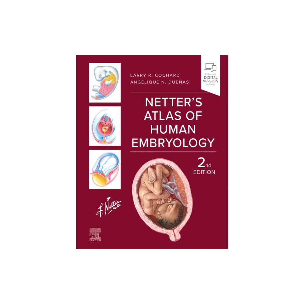 Netter's Atlas of Human Embryology (häftad, english) Elsevier Health Sciences