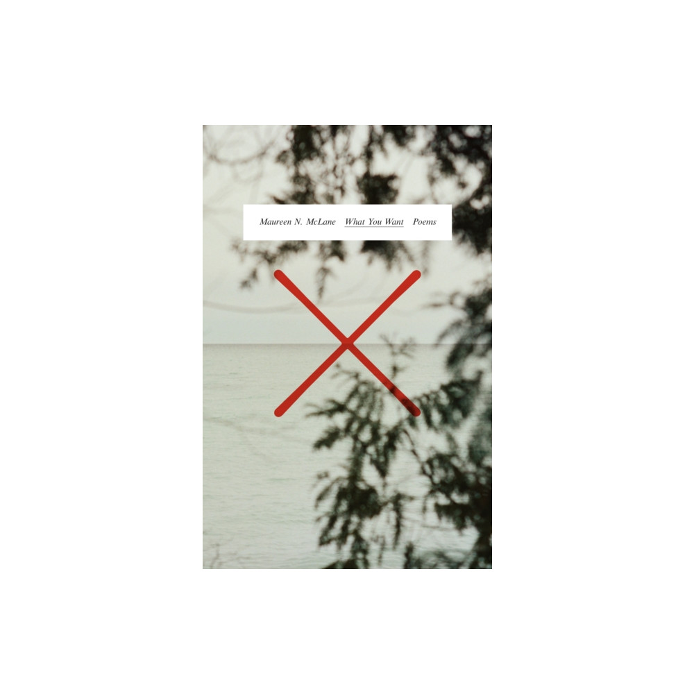 What You Want (inbunden, english) Farrar, Straus and Giroux