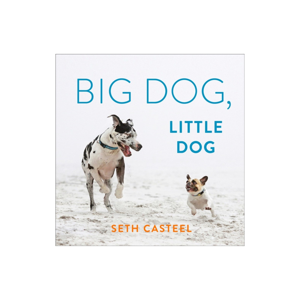 Big Dog, Little Dog (inbunden, eng)