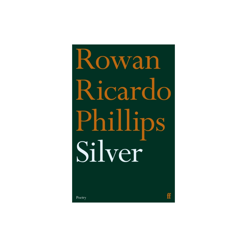 Silver (häftad, eng)