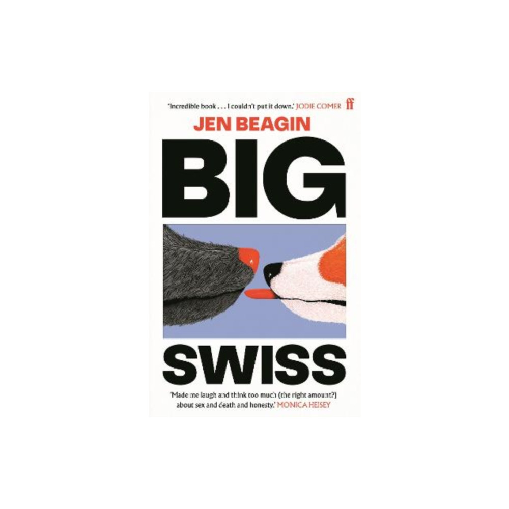 Big Swiss (häftad) Faber & Faber