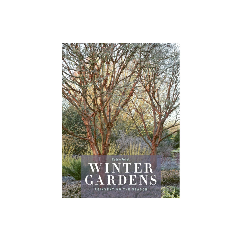 Winter Gardens (inbunden, english) Quarto Publishing Plc