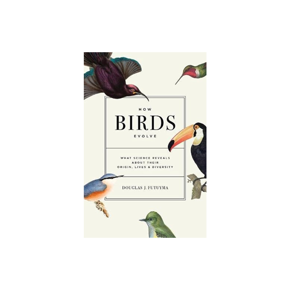 How Birds Evolve (inbunden, english) Princeton University Press