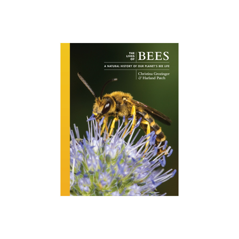 The Lives of Bees (inbunden, eng)