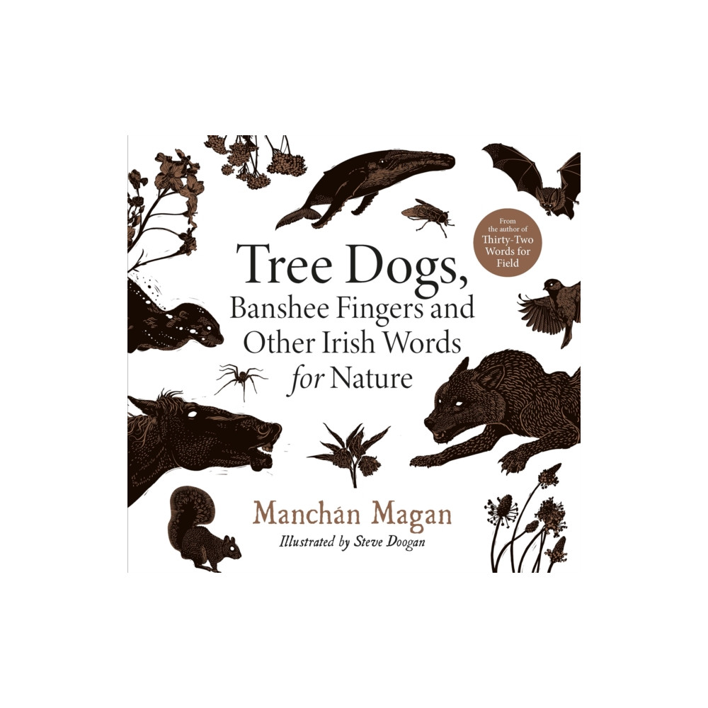 Tree Dogs, Banshee Fingers and Other Irish Words for Nature (inbunden, english) Gill