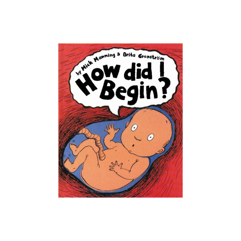 How Did I Begin? (häftad, english) Hachette Children's Group