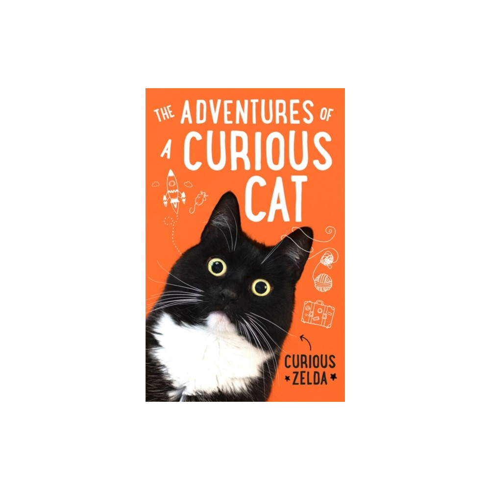 The Adventures of a Curious Cat (häftad, english) Little, Brown Book Group