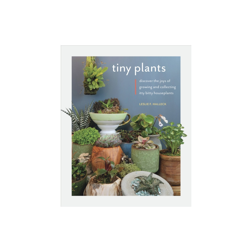Tiny Plants (häftad, english) Quarto Publishing Group USA Inc