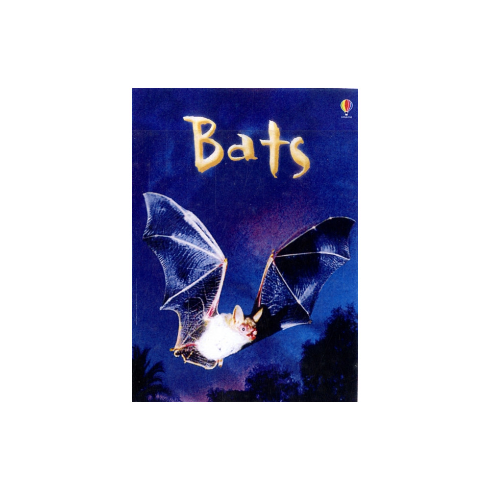 Bats (inbunden, english) Usborne Publishing Ltd