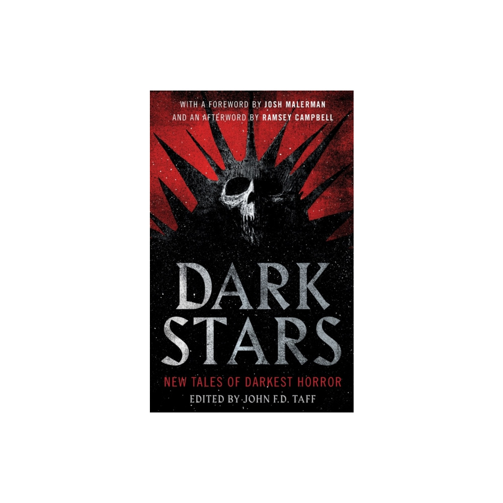 Dark Stars (häftad, english) Tor Publishing Group