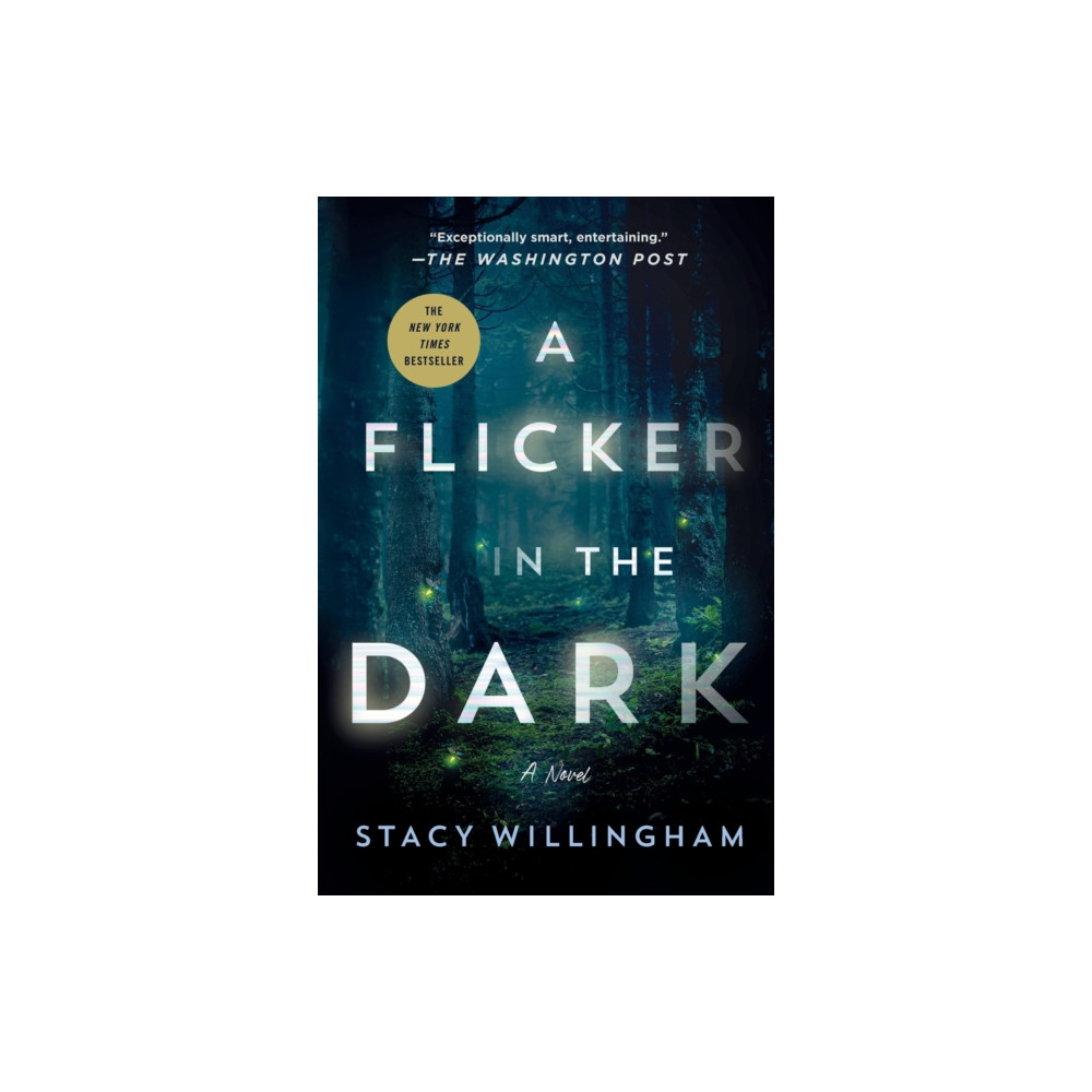 A Flicker in the Dark (häftad, english) St. Martin's Publishing Group