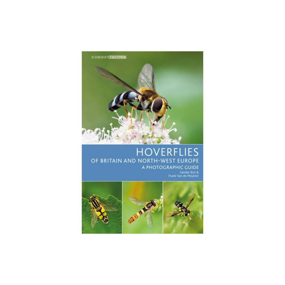 Hoverflies of Britain and North-west Europe (häftad, english) Bloomsbury Publishing PLC