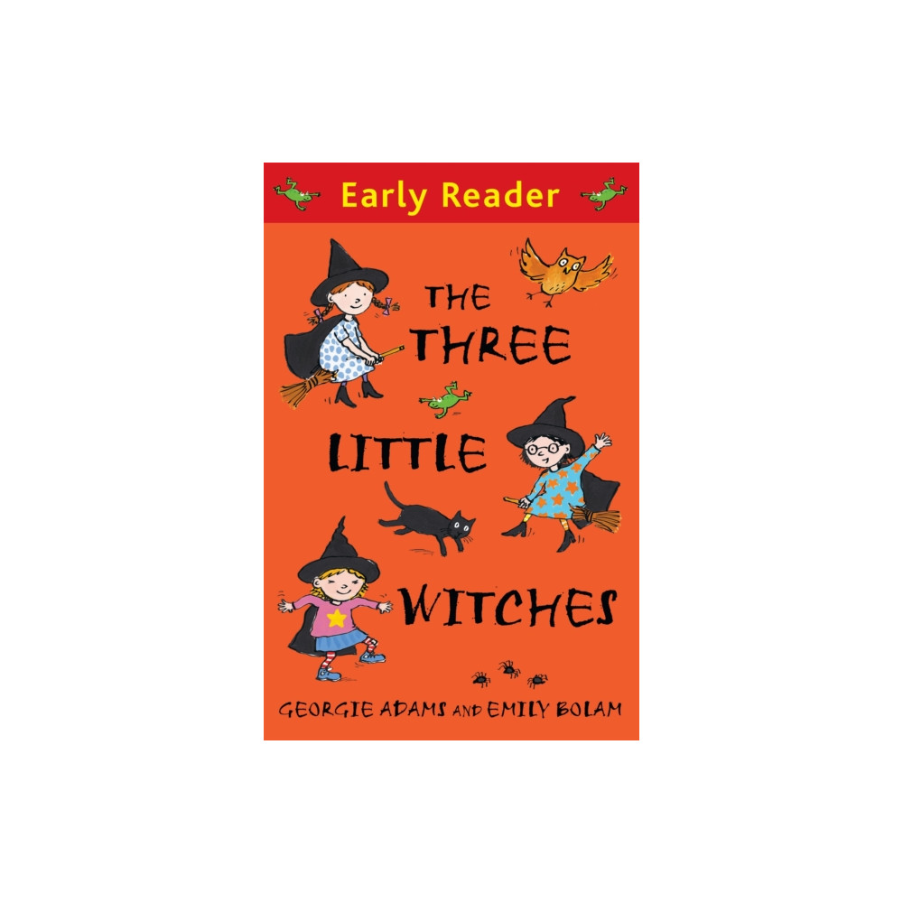 Early Reader: The Three Little Witches Storybook (häftad, english) Hachette Children's Group