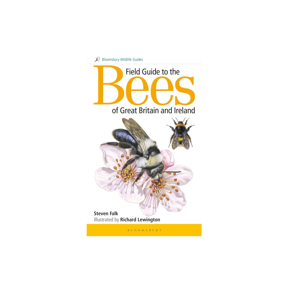 Field Guide to the Bees of Great Britain and Ireland (häftad, english) Bloomsbury Publishing PLC