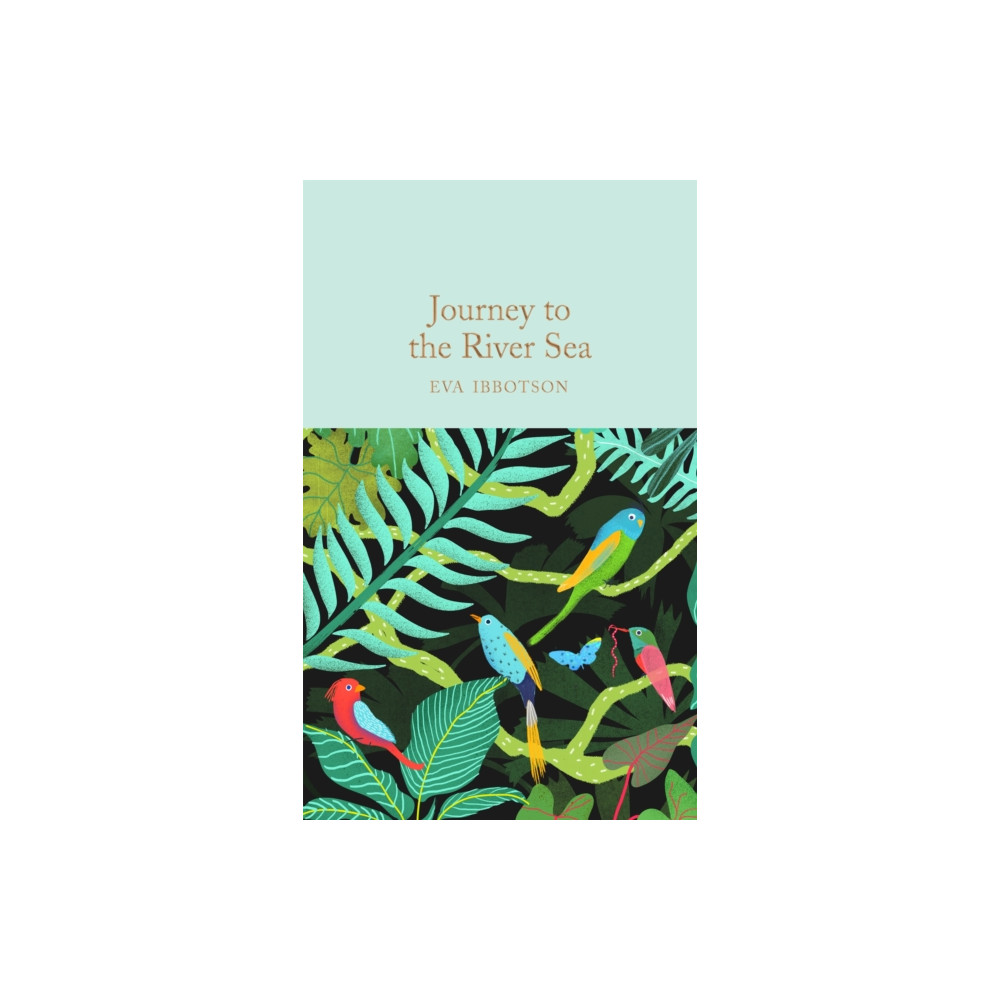 Journey to the River Sea (inbunden, english) Pan Macmillan
