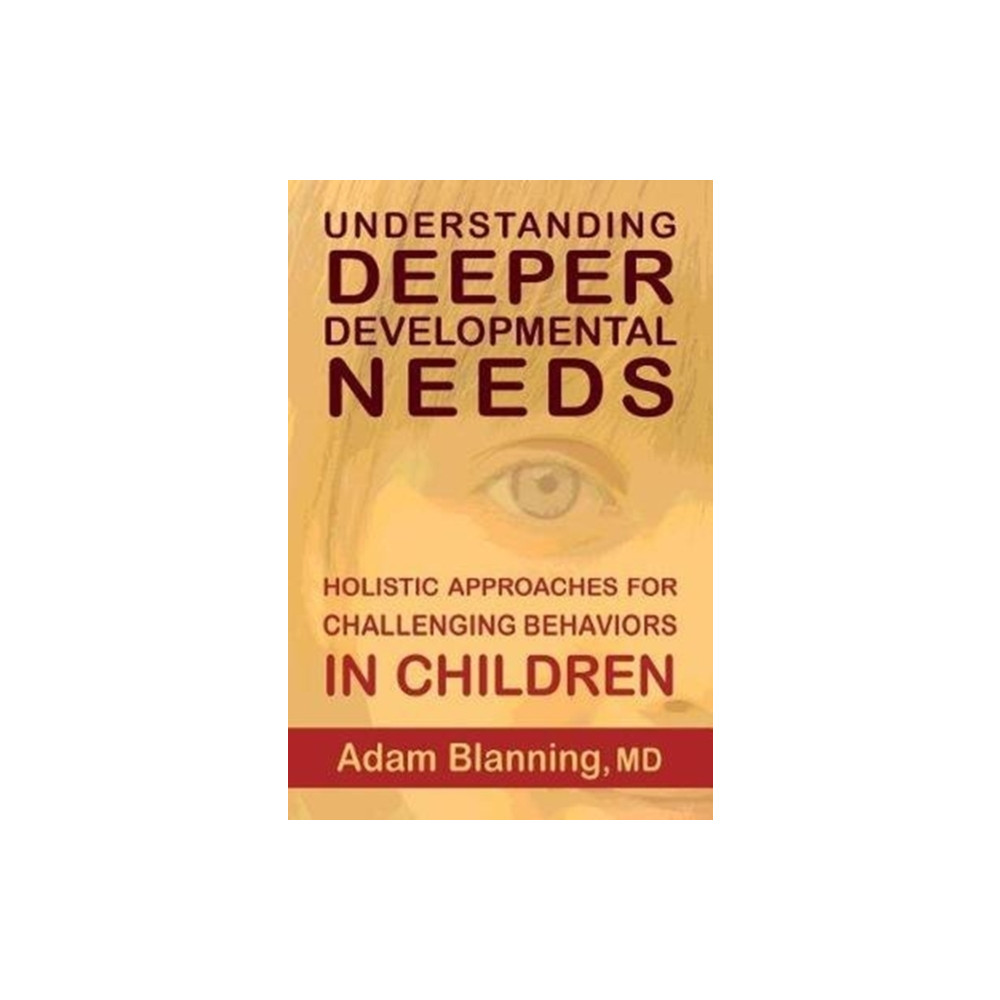 Understanding Deeper Developmental Needs (häftad, eng)