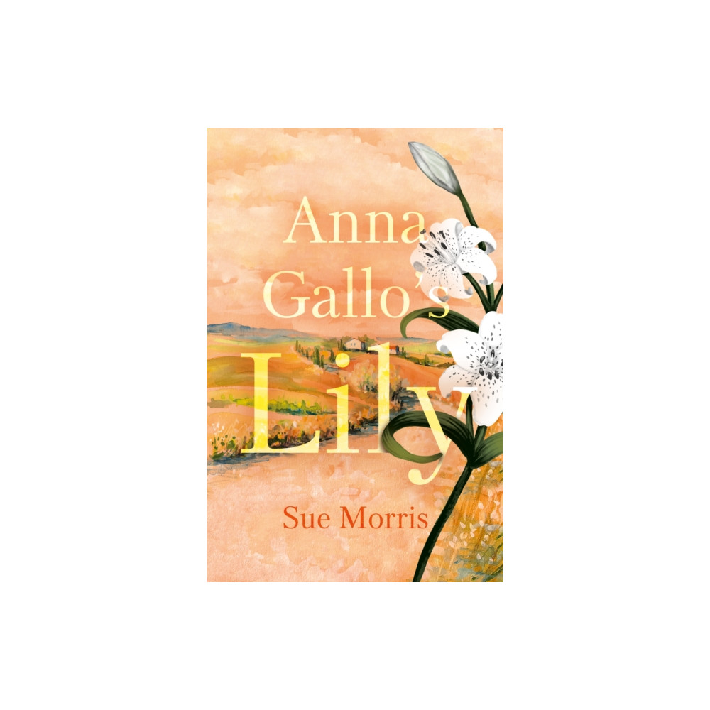 Anna Gallo’s Lily (häftad, english) Troubador Publishing