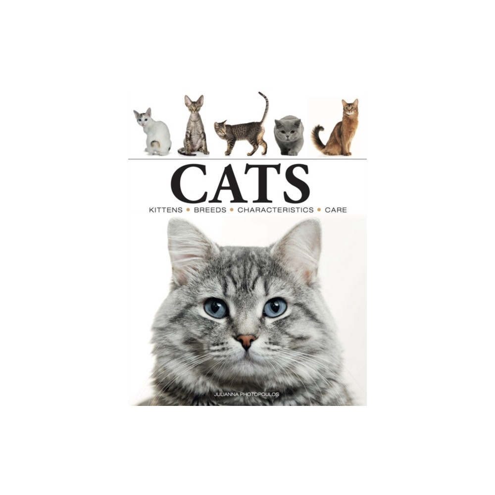Cats (häftad, english) Amber Books Ltd